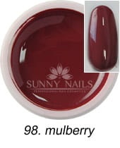 98. Żel kolorowy SUNNY NAILS Party mulberry 5 ml