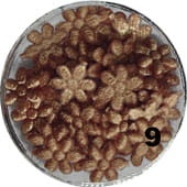 a2dac0e70f11266a48bac6ac729313da