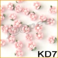 a7a35d6ef0e3f1b25f3701d2dab7d78c