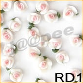 04a24549c484e447cf791030e0b10558