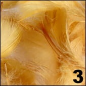 Piórka do zdobienia paznokci miodowe 10 szt. - 3