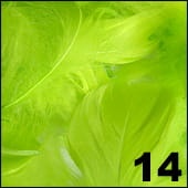 Piórka do zdobienia paznokci pistacjowe 10 szt. - 14