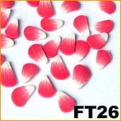 6f768e886dfaa63b2488ec0cfed28257