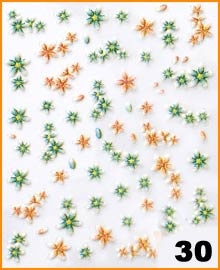 Naklejki do paznokci - 30