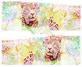 609e0ea542990c368ef226cd0f140a1a