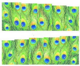 53837cf09c2cc6a37f8250227d8326cf