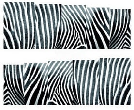 f5e4e295ce57617d5c6186cf3d3083e5