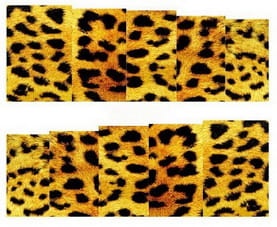 XF1503. naklejka wodna do paznokci, kalkomania na paznokcie