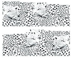 7c8d52d51a466b4250f5925dc7a74791