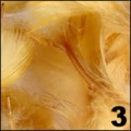 2f68d4bb83a0dde1668c5d9f80cc17cb