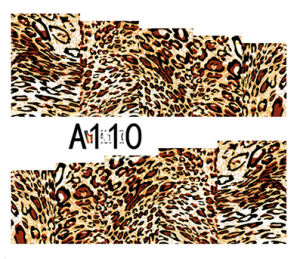 Naklejki wodne do paznokci - A110