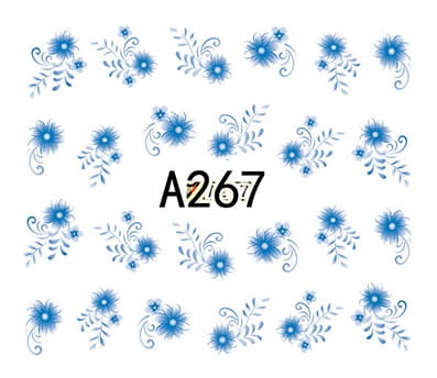 267.jpg
