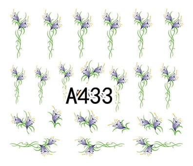 433.jpg