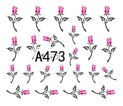 473.jpg