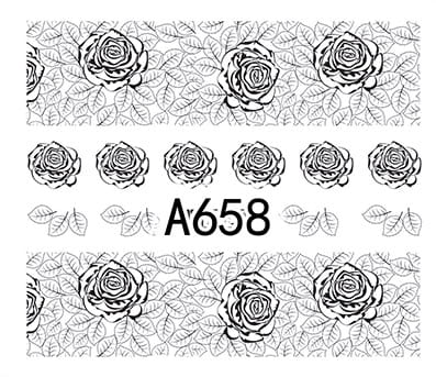 658.jpg