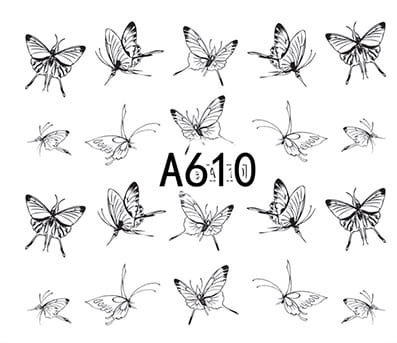 610.jpg