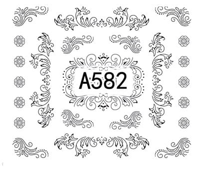 582.jpg