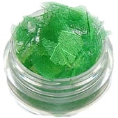 Ozdoba do paznokci Liście zielone w pojemniczku 5ml - 16