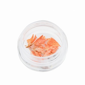 Ozdoba do paznokci Suszone kwiatki pomarańczowe w słoiczku 5ml - 50