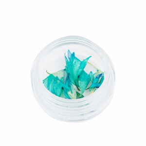 Ozdoba do paznokci Suszone kwiatki błękitne w słoiczku 5ml - 47