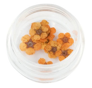 Ozdoba do paznokci Suszone kwiatki pomarańczowe w słoiczku 5ml - 36