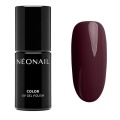 lakier-hybrydowy-dark-cherry-72-ml.jpg