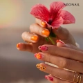 8c79aee379b8b28541879bccb3ee3f67.jpg