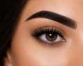 967b9590d5fe59cf0aff02993db44cb1.png