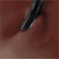 42a558482e99f31742623c68f2294715.png
