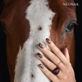 3edd4ac43621b74c43ecc11c2f17ae59.png